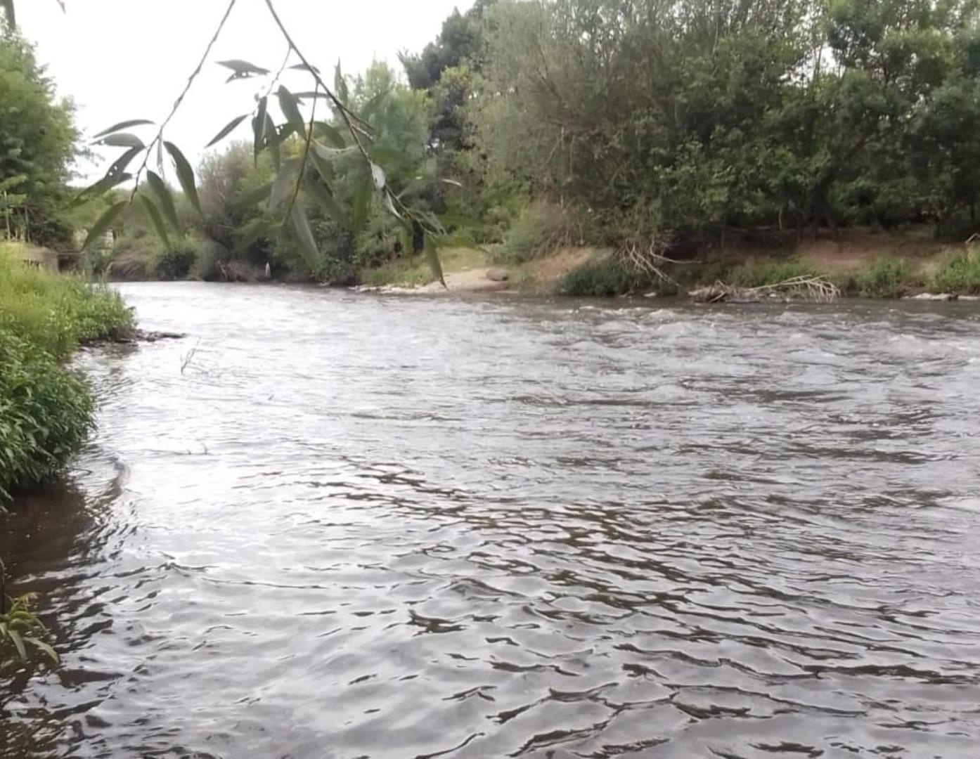 Smallholding for Sale - Gauteng