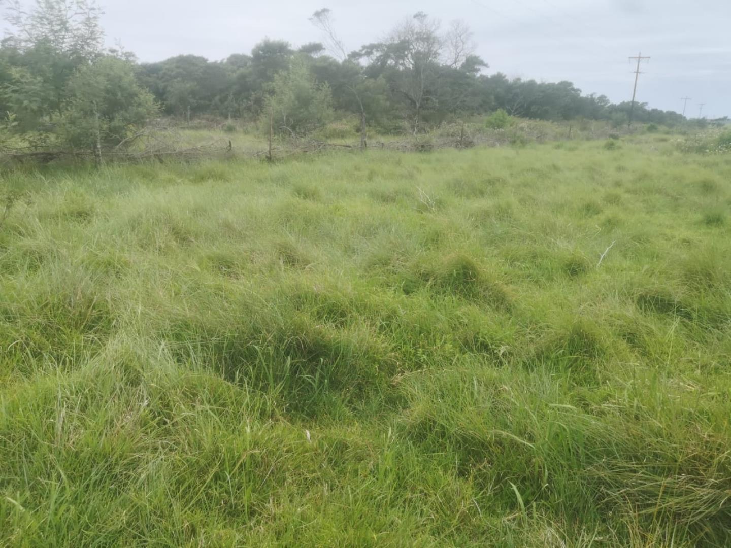 Vacant Land for Sale - Eastern Cape